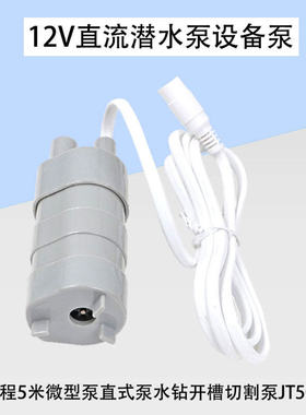 12V24V微型直流潜水泵扬程5米10L/M小型直式抽水泵设备泵