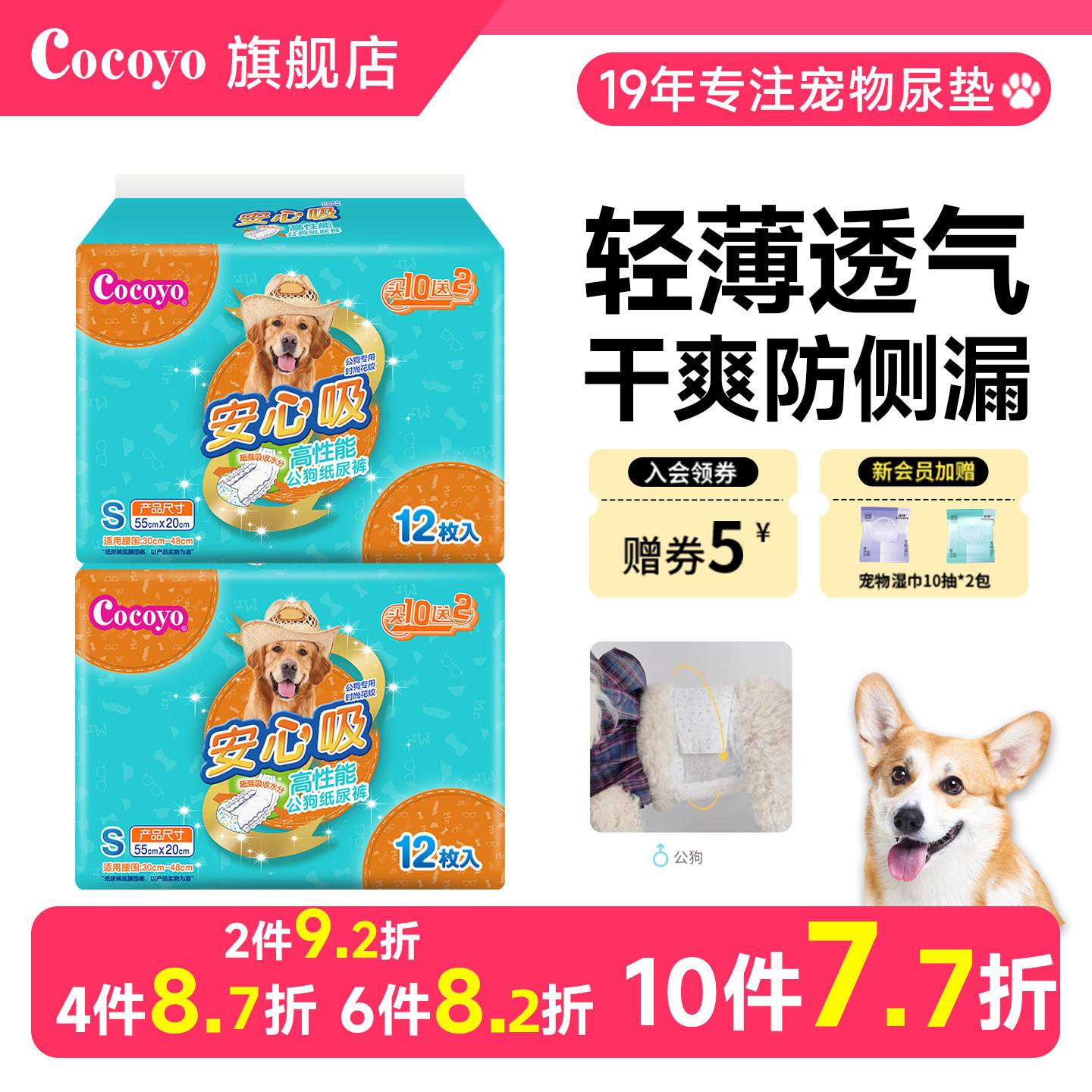 cocoyo尿裤卫生透气礼貌带公狗图片