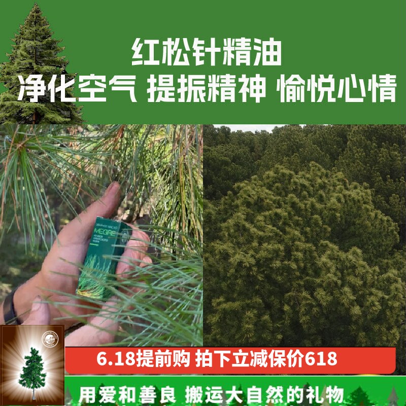 鸣响雪松针精油红松针精油维生素植物素快恢复可沐浴扩香