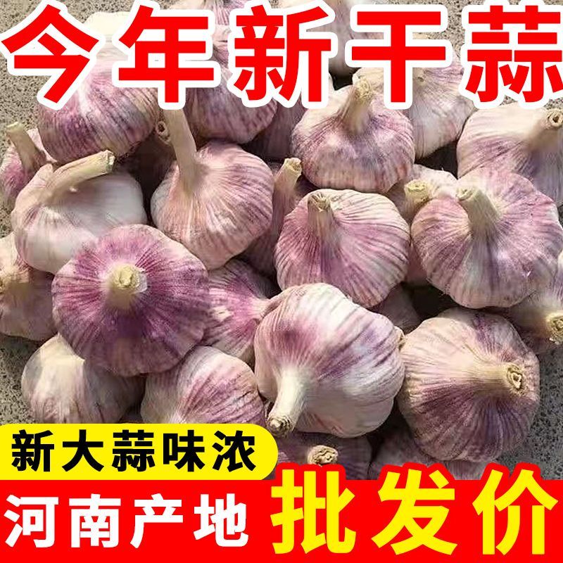 2026新蒜紫皮蒜新鲜农家干大蒜头