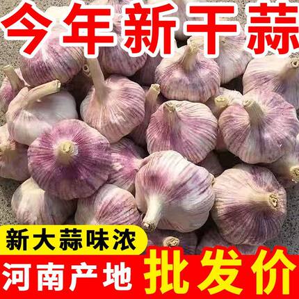 五斤装河南紫白皮干蒜白皮大蒜头农家种植新干蒜精品干蒜辛辣饱满