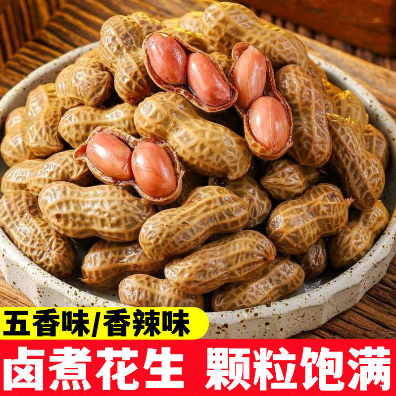 卤汁水煮花生秘制高汤小火慢卤啤酒伴侣休闲小吃宵夜解馋酒鬼爱吃