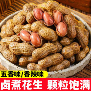 卤汁水煮花生秘制高汤小火慢卤啤酒伴侣休闲小吃宵夜解馋酒鬼爱吃