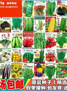 Four Sesons Pot Plnting of Vrious Vegetble Seeds