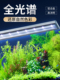 鱼缸灯led灯防水超亮鱼缸专用灯带防水观赏灯水草灯大排灯全光谱