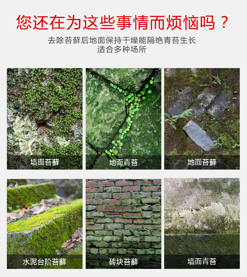 青苔去除剂水泥地面去除青苔神器除苔剂青苔清除剂除藻剂除苔藓剂