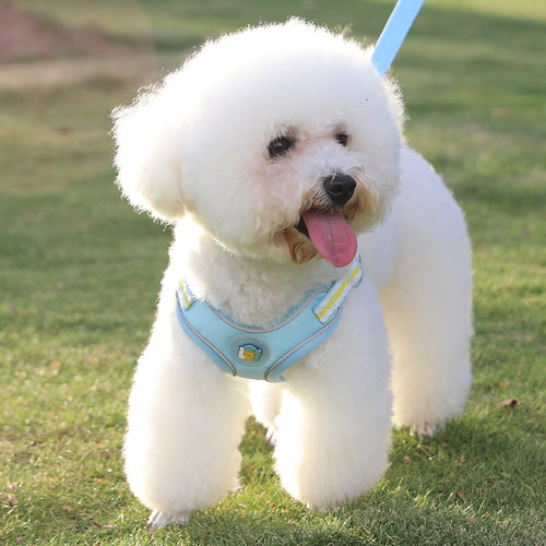 夏季狗狗牵引绳小型犬比熊背心式溜遛狗绳泰迪博美宠物胸背带透气