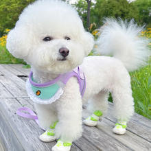夏季透气小狗狗牵引绳小型犬背心式比熊泰迪宠物背带防挣脱遛狗绳