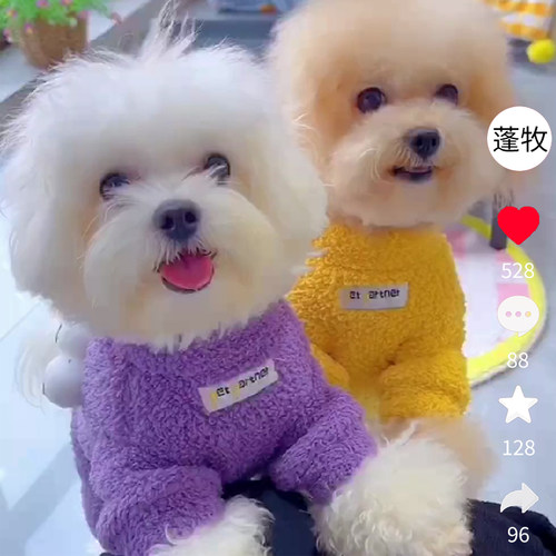秋冬季四脚狗狗衣服小型犬比熊泰迪保暖米粒绒雪纳瑞博美宠物衣服