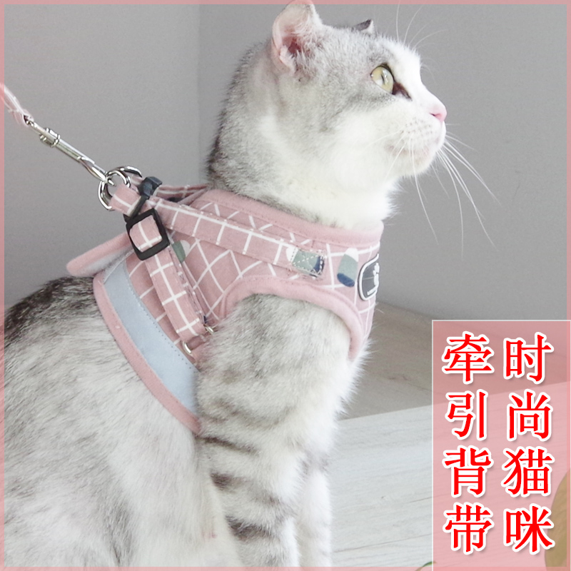 猫咪牵引绳外出遛猫绳