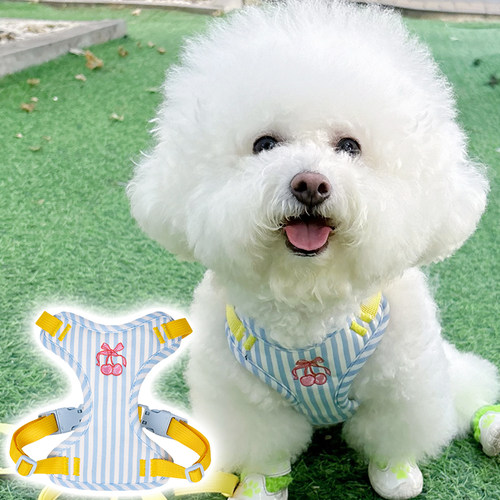 背心式狗狗牵引绳小型犬比熊防挣脱遛狗绳泰迪宠物胸背带遛狗链子