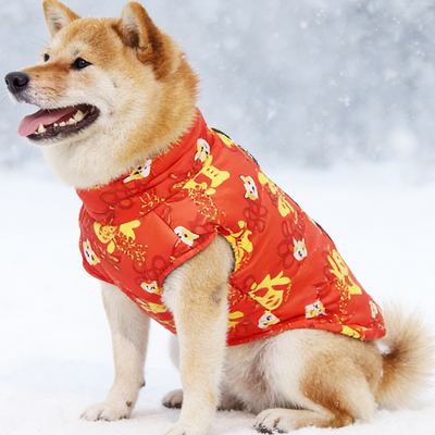 狗狗衣服秋冬装柴犬比熊加厚保暖羽绒棉服泰迪中小型犬冬季狗棉衣