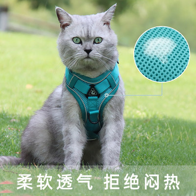 猫牵引绳挣脱背带英短外出专用