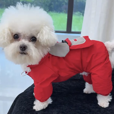 秋季小狗狗衣服比熊泰迪雪纳瑞小型犬宠物可牵引四脚衣冲锋衣防脏