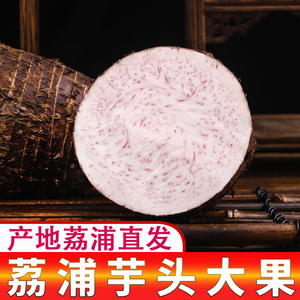 荔浦芋头5斤广西特产现挖香芋新鲜蔬菜槟榔芋紫藤芋毛芋头免邮