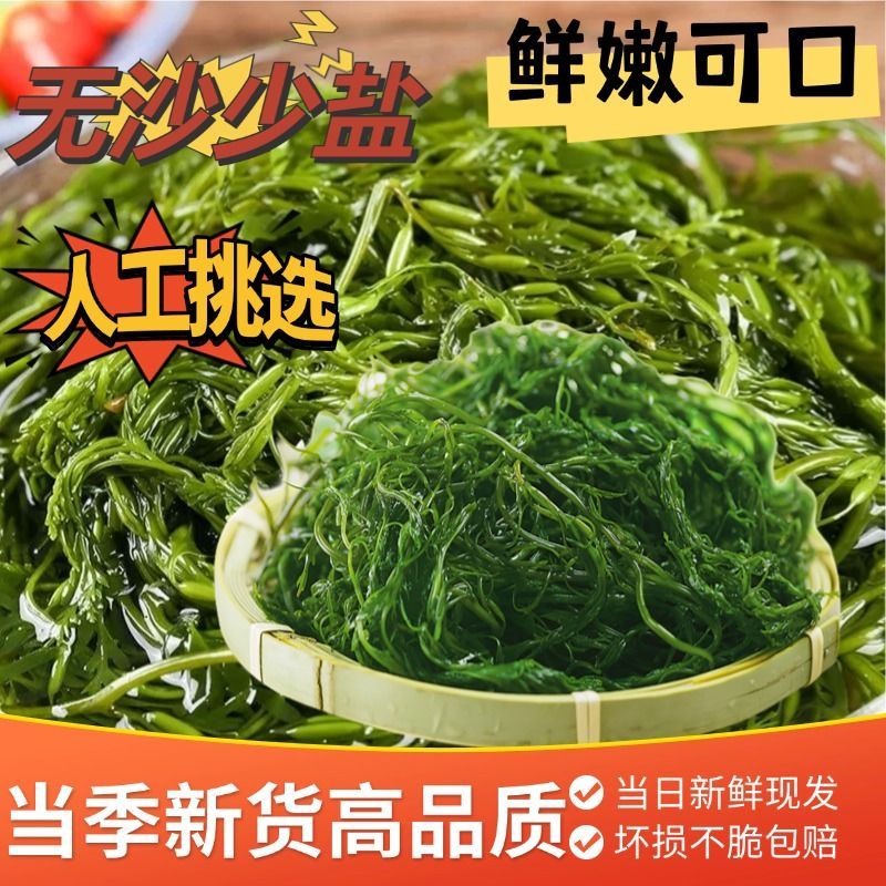 5斤装盐渍马尾藻海藻菜鞭炮笋龙须菜凉拌长寿菜火锅食材批发500g