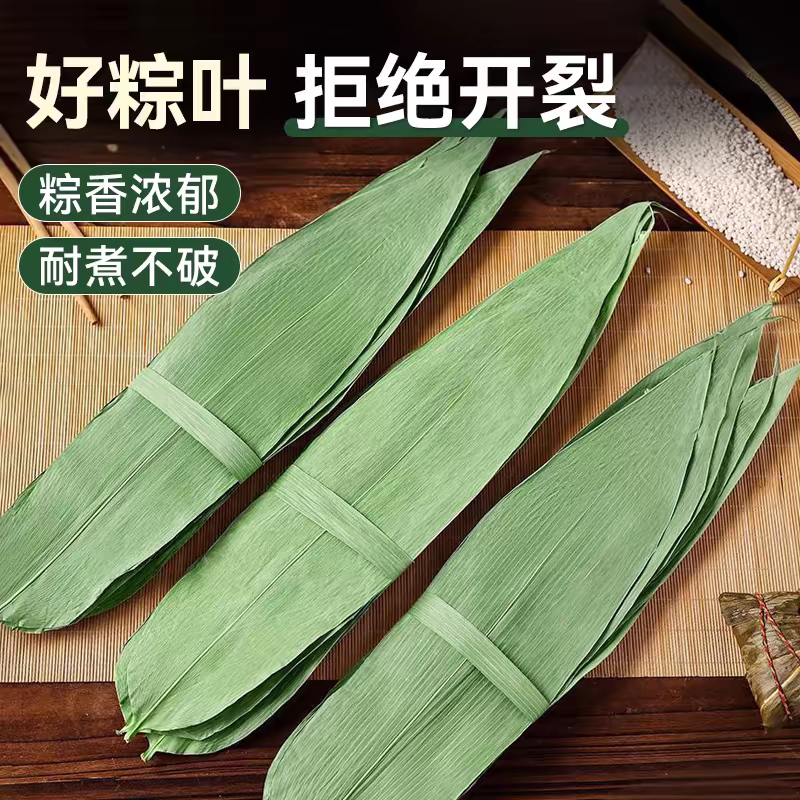 干粽子叶大张干棕叶大号新叶包粽子的叶子端午节家用商用粽叶批发