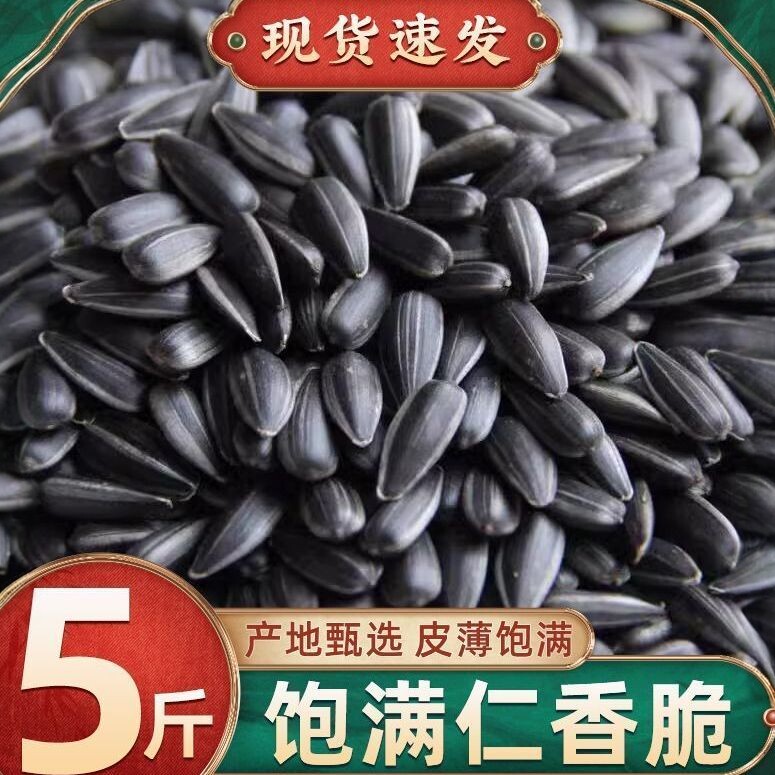 内蒙古黑珍珠新货油葵瓜子原味五香1/2/3斤装炒货葵花籽瓜子批发