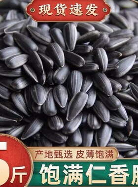 内蒙古黑珍珠新货油葵瓜子原味五香1/2/3斤装炒货葵花籽瓜子批发