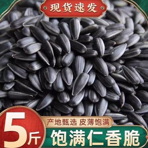 内蒙古黑珍珠新货油葵瓜子原味五香1/2/3斤装炒货葵花籽瓜子批发