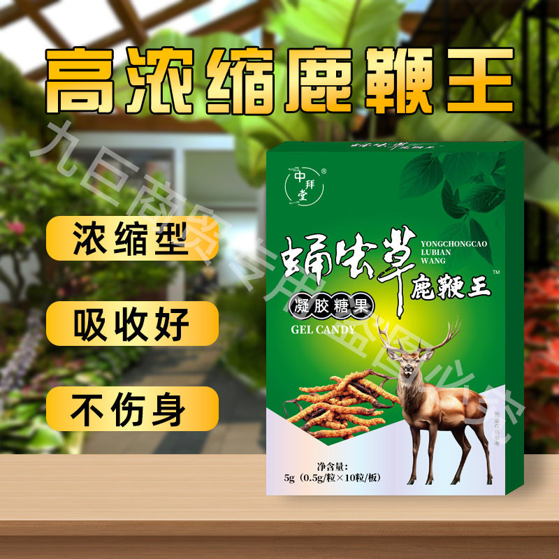 老牌子正宗男用滋补蛹虫草丸鹿鞭10粒装 中老年适用