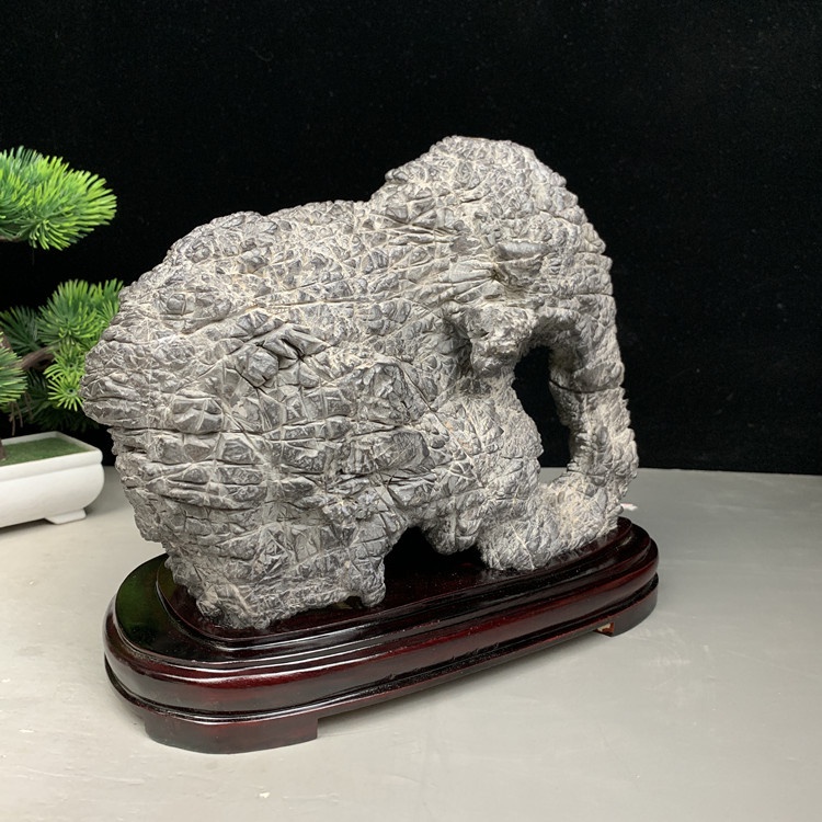 新款纹石原石摆件龟纹石淄博纹石结核石观赏石象形石房山石博q古