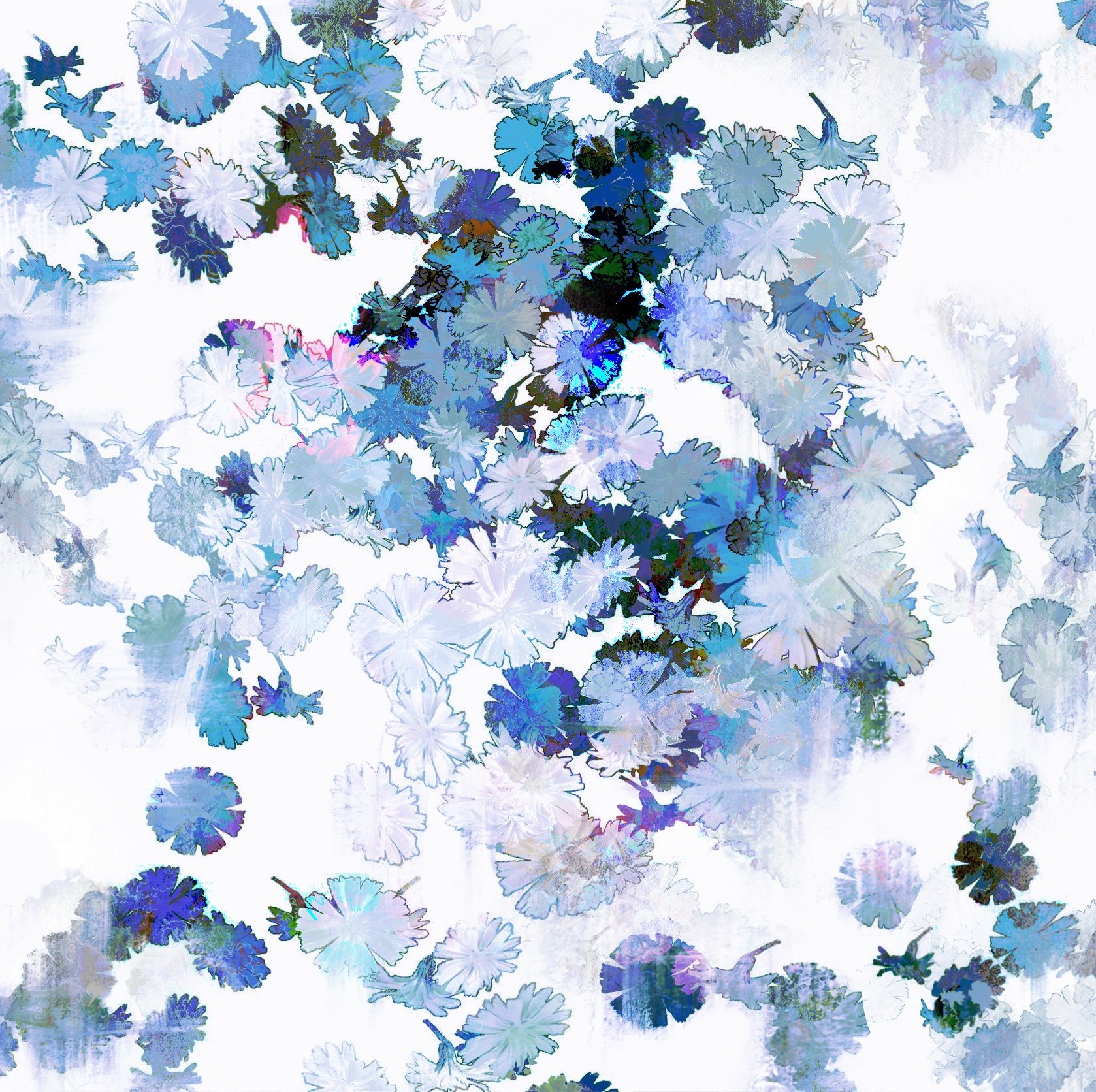 【procreate笔刷】蒲公英/雏菊花卉6款,kyd自制ipad绘画素材商用