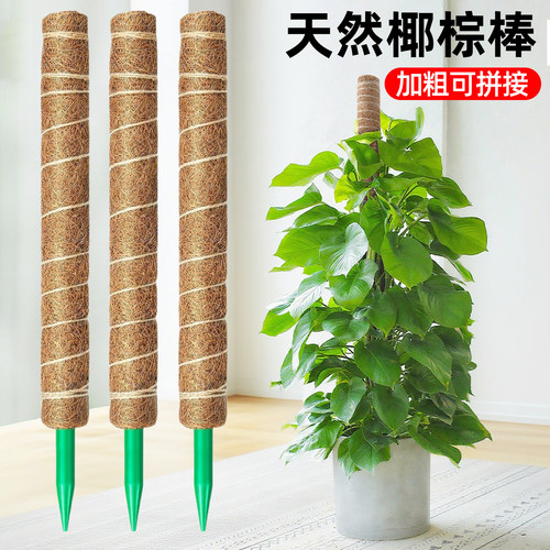 绿萝爬藤支架植物固定椰棕棒棕榈皮椰丝柱养花龟背竹防倒伏支撑杆