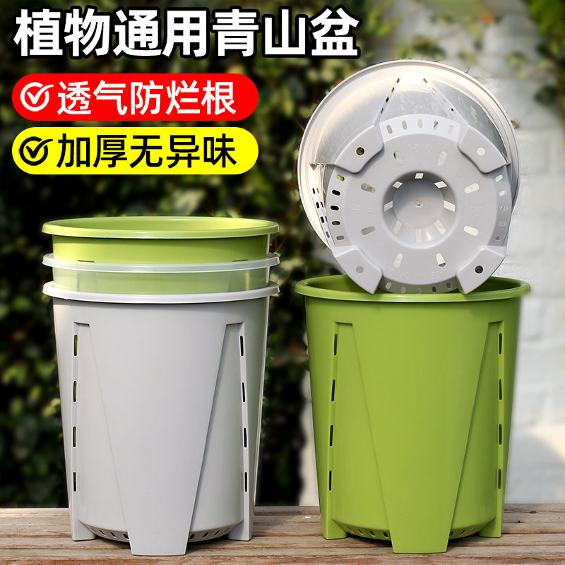 青山三代透气控根盆树脂加仑花盆塑料蔓绿绒花烛热植龟背竹专用盆图片