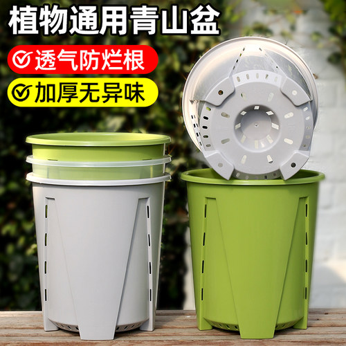 青山三代透气控根盆树脂加仑花盆塑料蔓绿绒花烛热植龟背竹专用盆