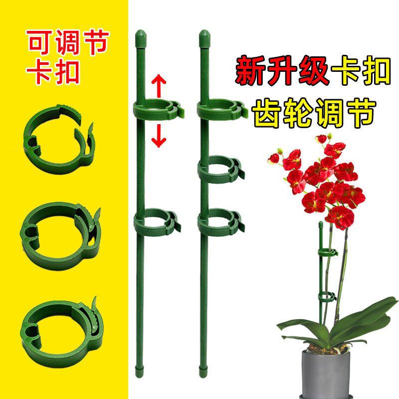 花卉防倒伏固定器园艺扶持架兰花护叶枝龟背竹果蔬专用植物支撑杆