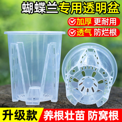 蝴蝶兰专用透明花盆家用水苔蝴蝶兰石斛兰透气控根青山盆塑料镂空