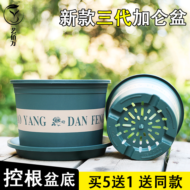 【买5送1】不烂根三代矮胖加仑盆