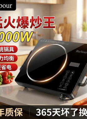 德国品质电陶炉智能5W新