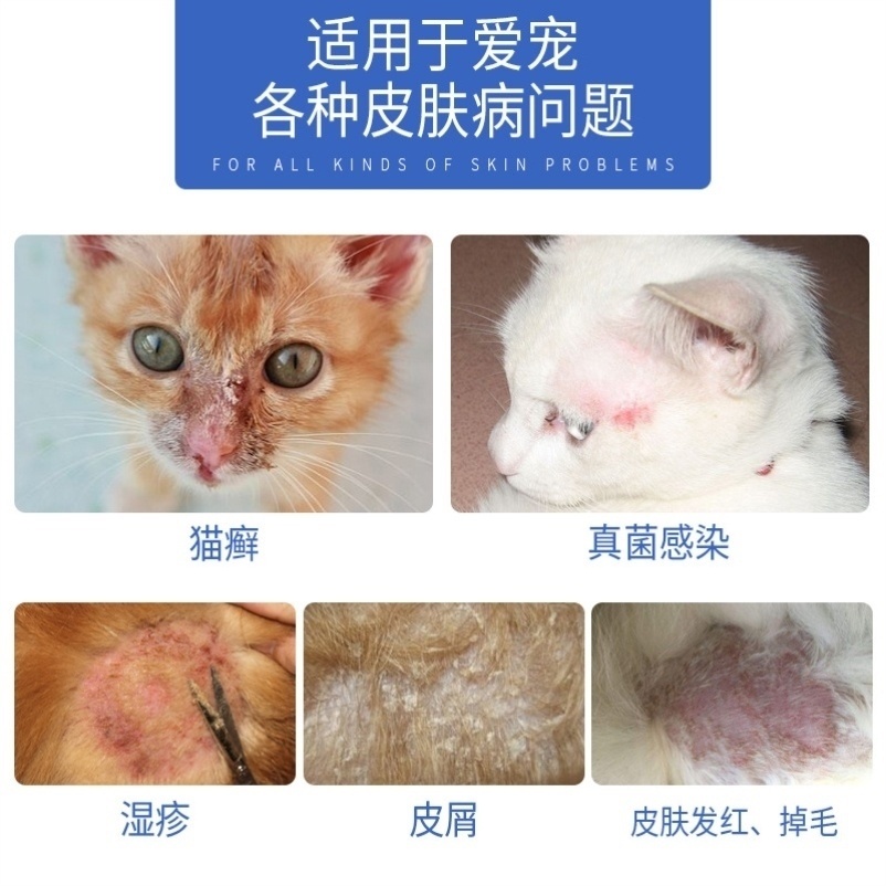 猫癣狗癣奶藓猫狗砸皮肤猫咪癣狗狗皮肤病喷剂外用药狗掉毛的药除|msdalam kategori haiwan peliharaan/makanan haiwan dan bekalan, Cat/Anjing bekalan perubatan (baru), lain - dari Buy2taobao.com untuk memberikan perkhidmatan ejen Taobao profesional membeli