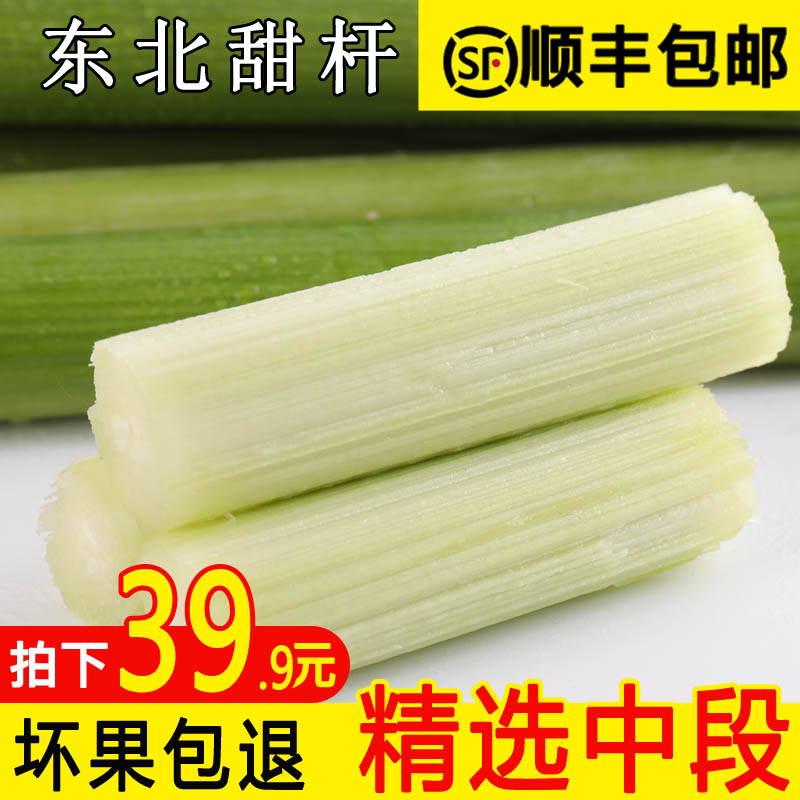 顺丰】现砍现发东北甜杆甜高粱杆小甘蔗5斤新鲜水果甜芦杆甜芦粟在类目 水产肉类/新鲜蔬果/熟食, 新鲜水果, 其它中 - 来自Buy2taobao.com提供专业的淘宝代购服务