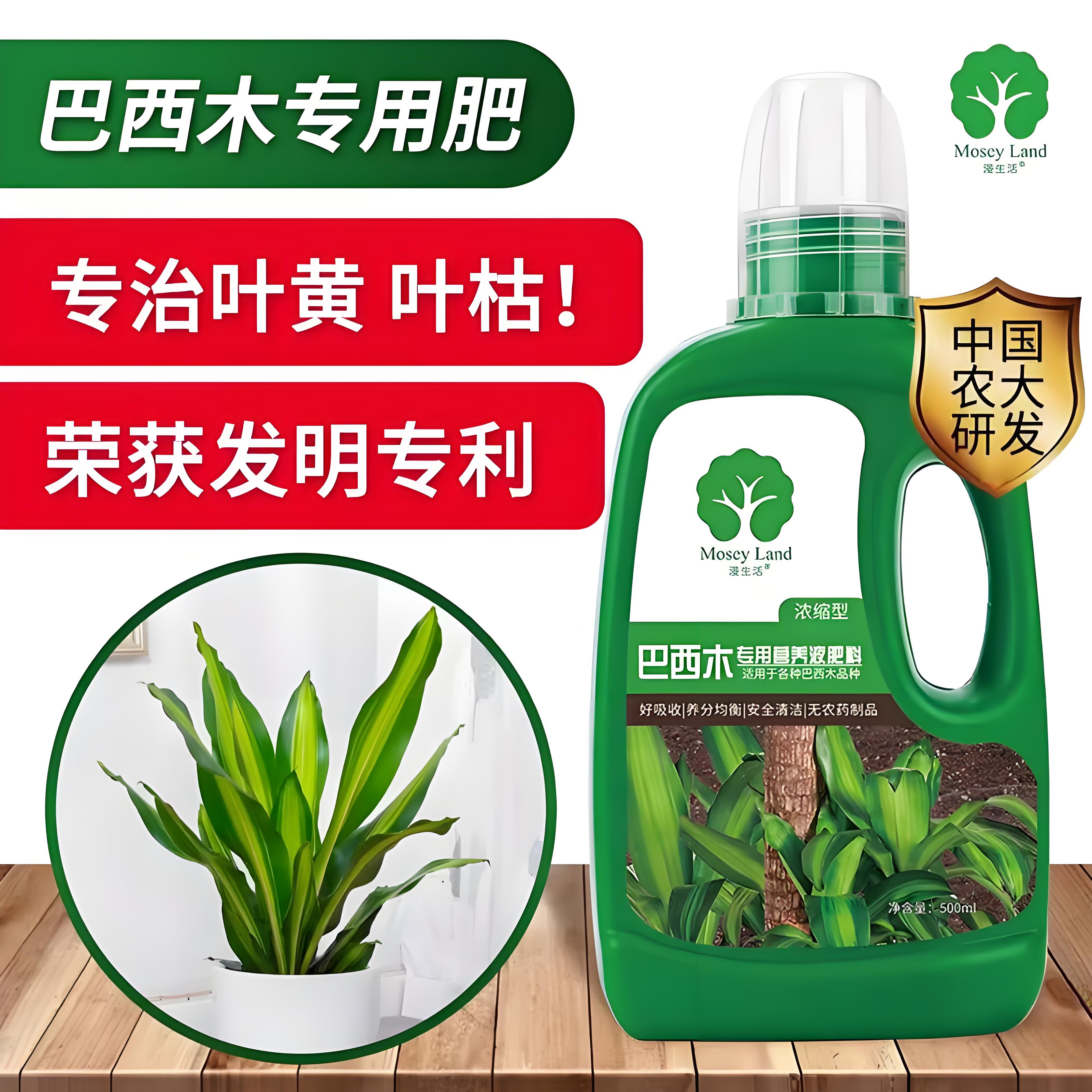 巴西木肥料巴西木专用肥料营养液巴西木盆栽专用土营养土改善黄叶