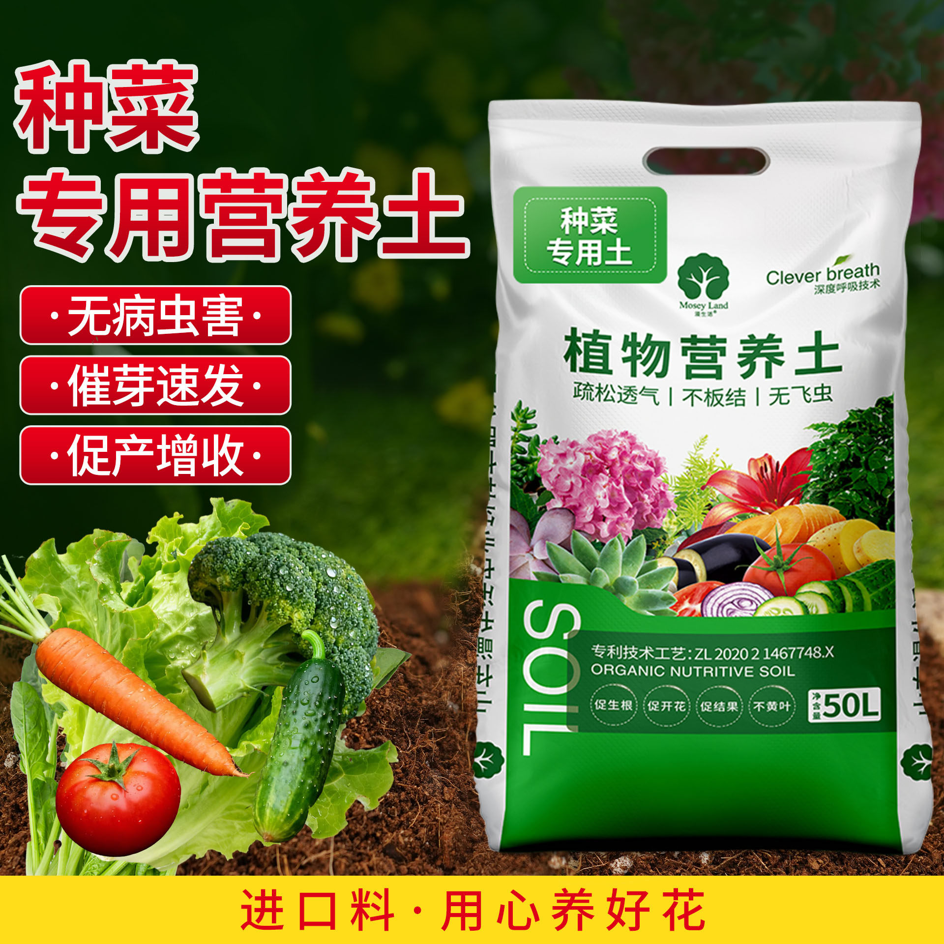 阳台种菜专用土漫生活营养土家庭种菜有机肥料蔬菜土壤育苗泥炭土