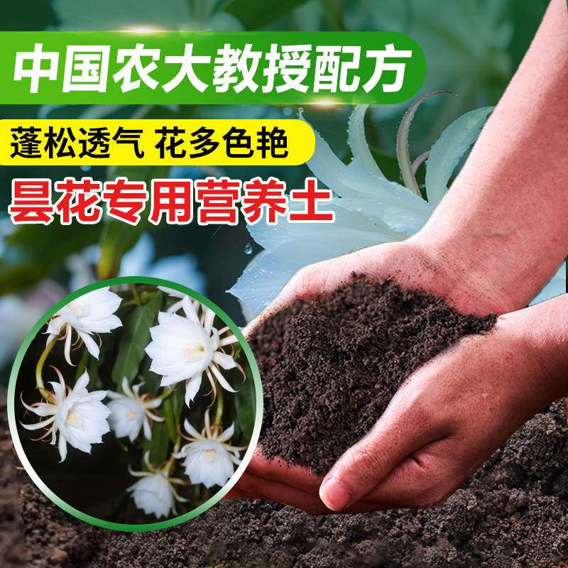 漫生活昙花专用土营养土肥料图片