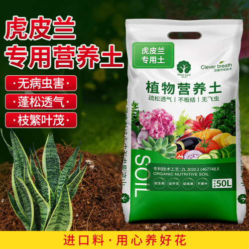 金边虎皮兰专用土虎尾兰营养土