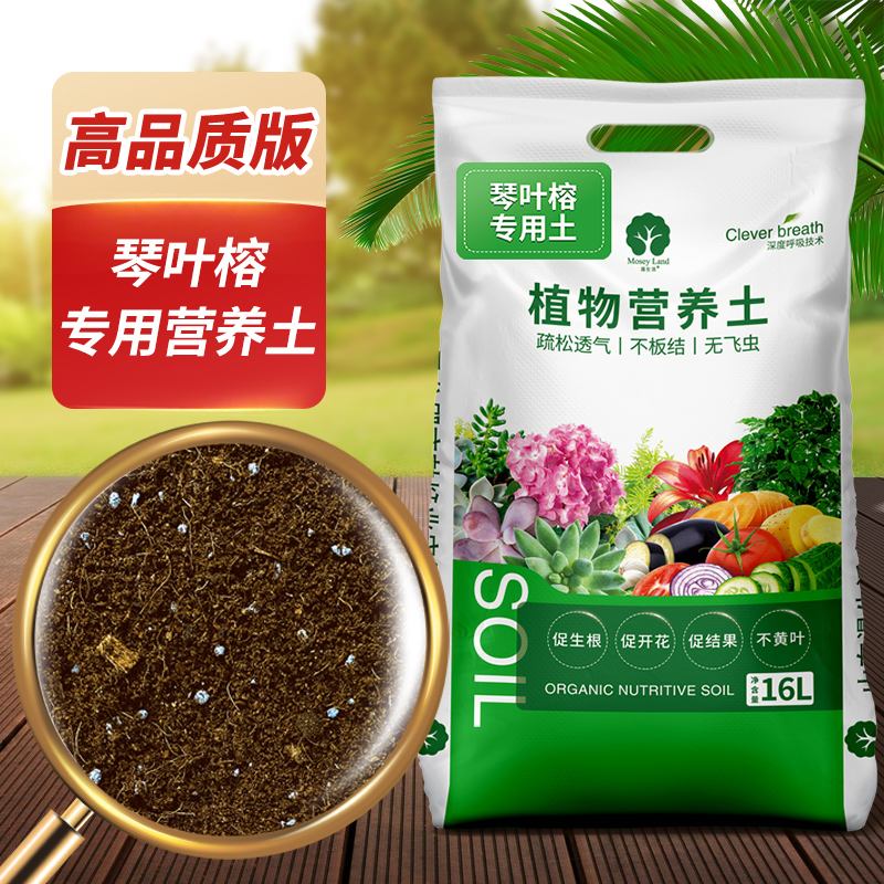 琴叶榕专用土漫生活专利营养土
