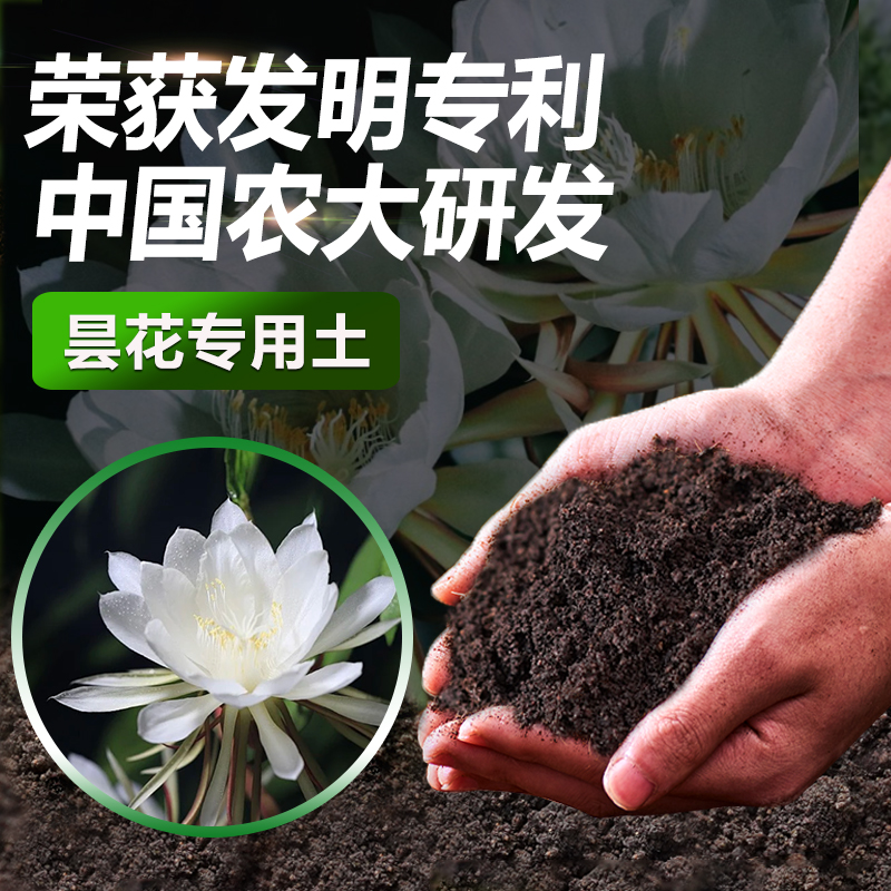 昙花专用土营养土肥料