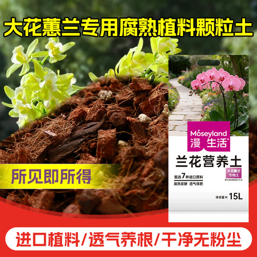 大花惠兰专用兰科专用进口松树皮