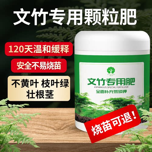 文竹专用肥营养液漫生活营养颗粒
