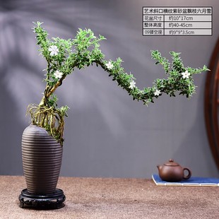 茶室禅意绿植造型六月雪盆景室内小盆栽植物办公茶室桌面摆件好养