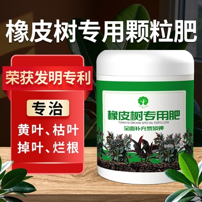 橡皮树肥料专用橡皮树营养液专用肥防黄叶落叶烂根专用颗粒肥