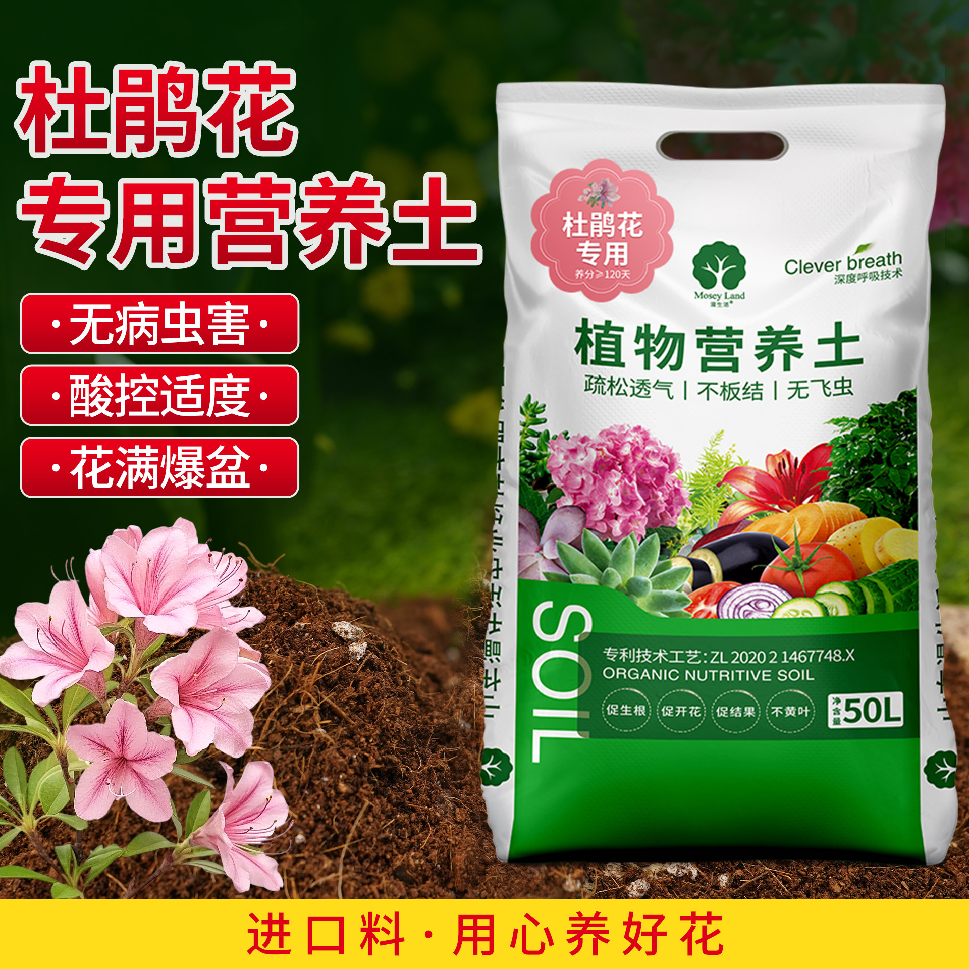 漫生活杜鹃花专用土盆栽营养土图片
