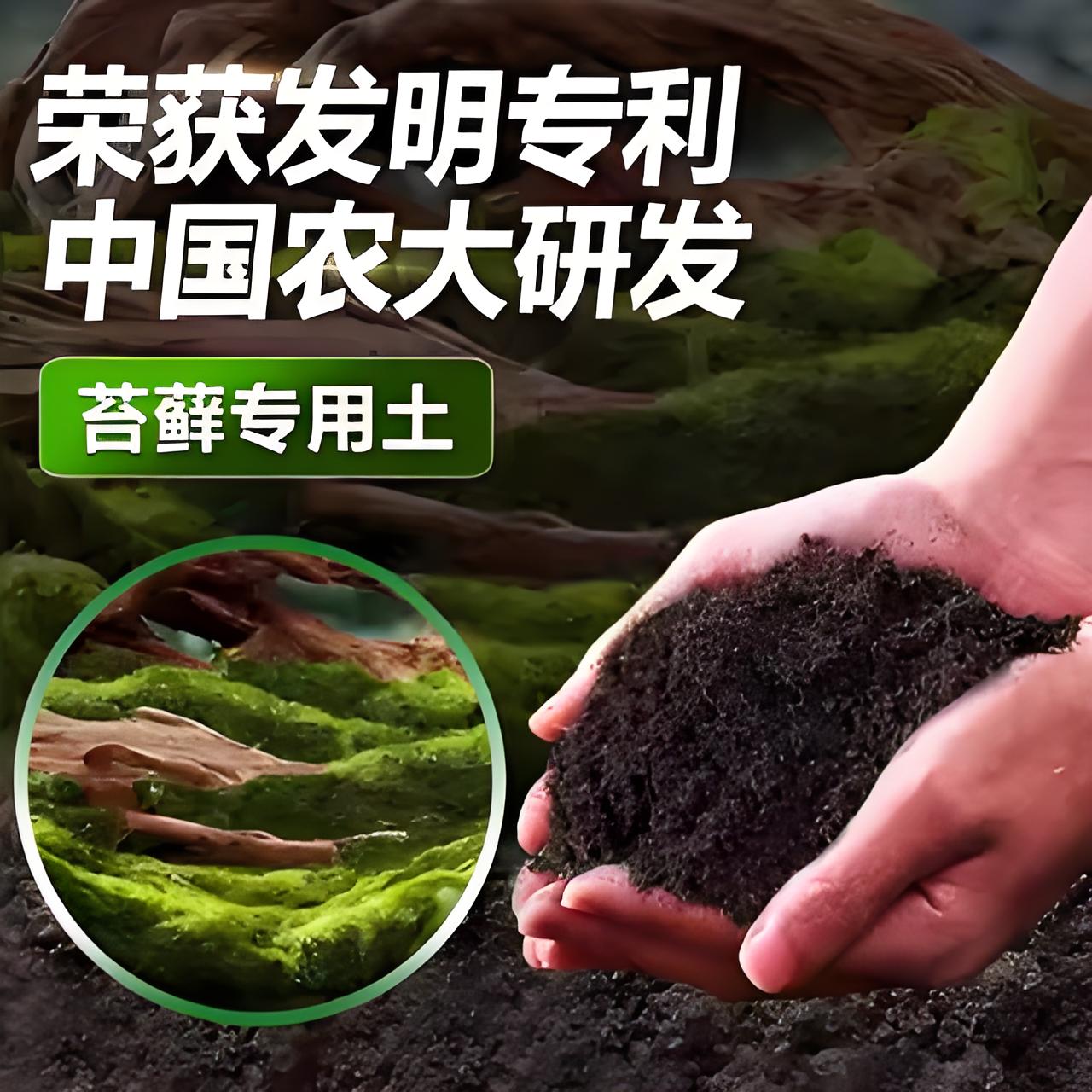 苔藓专用土专用营养土专用肥料中国农大研发漫生活专利营养土