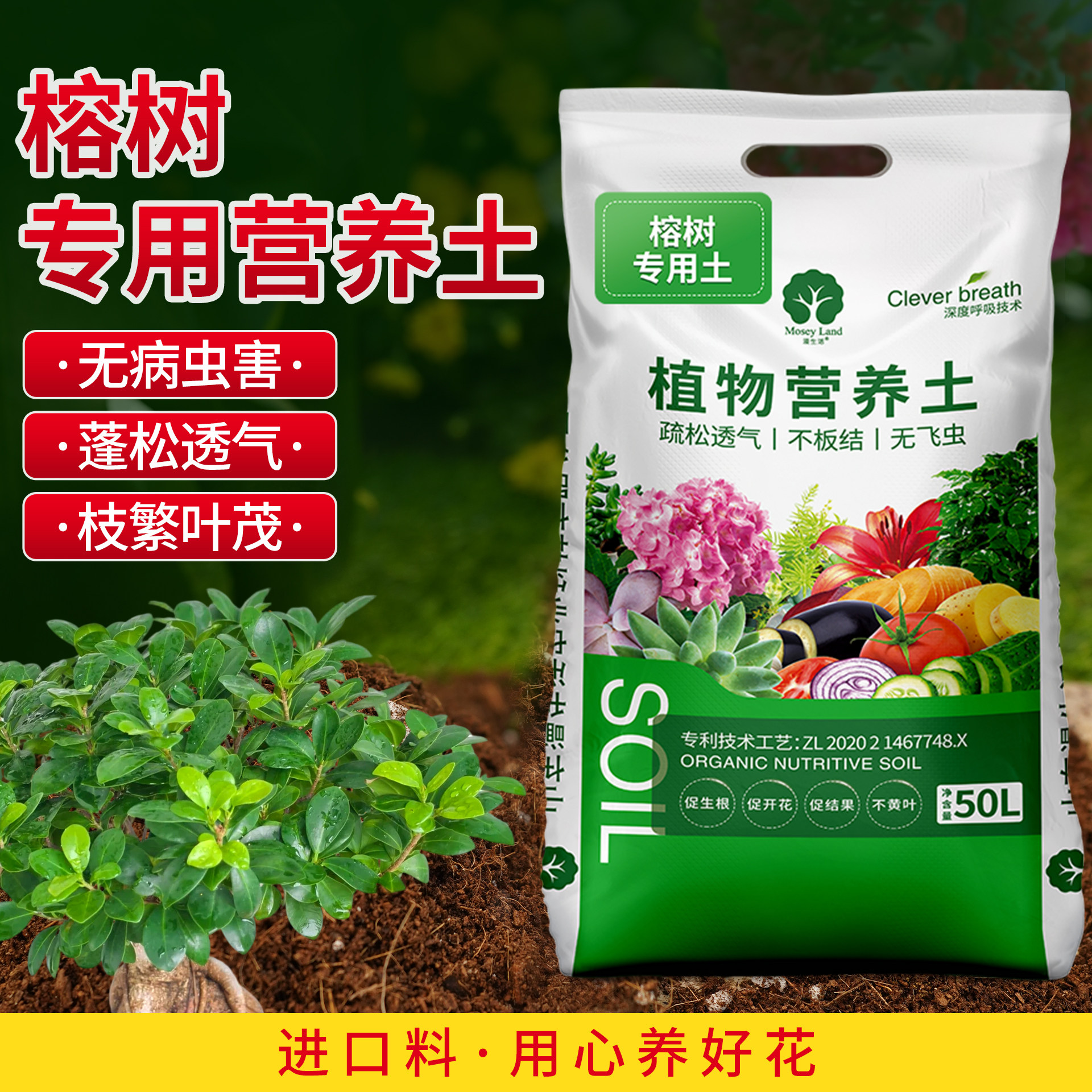 榕树专用土榕树盆景专用土榕树肥料榕树专用肥