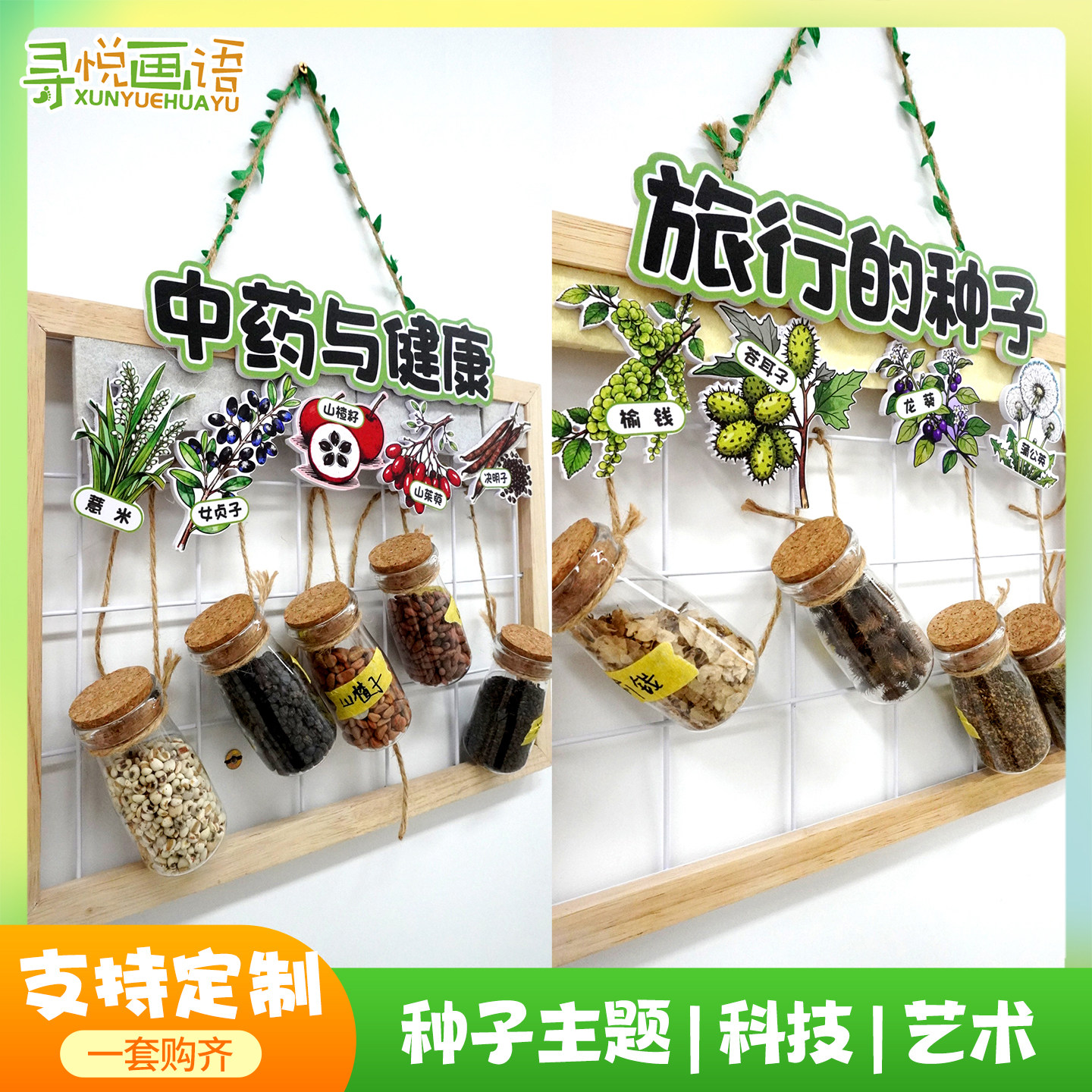 种子环创装饰展示墙幼儿园种子博物馆主题环创装饰植物角标本墙贴
